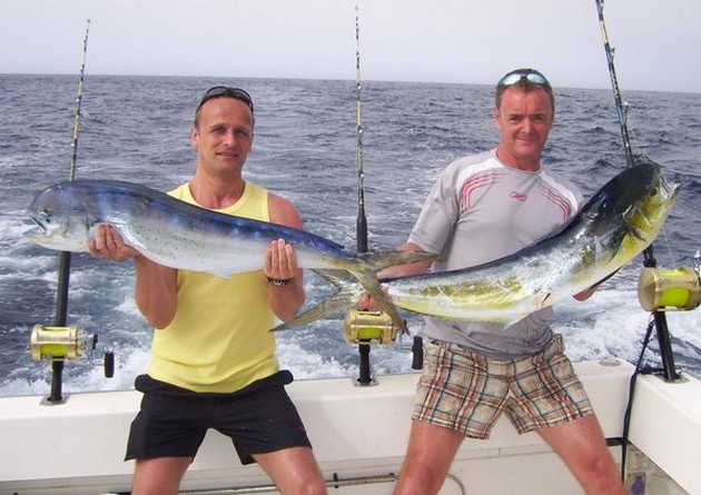 Puerto Rico - 21.30 horas BLUE MARLIN 620 LBS Este - Cavalier & Blue Marlin Sport Fishing Gran Canaria