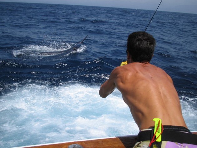 Puerto Rico - 16.30 horas BLUE MARLIN ESTRENO - Cavalier & Blue Marlin Sport Fishing Gran Canaria