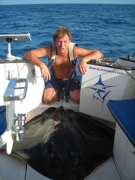 02/08 common stingray Cavalier & Blue Marlin Sport Fishing Gran Canaria