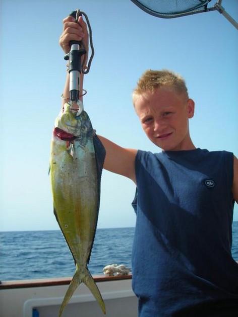 dorado Cavalier & Blue Marlin Sport Fishing Gran Canaria