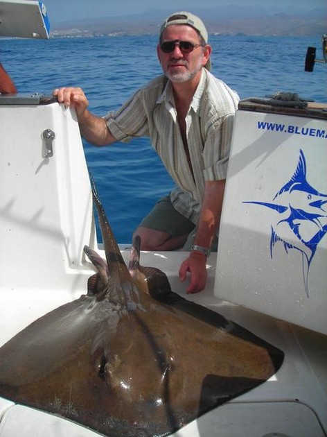 common stingray Cavalier & Blue Marlin Sport Fishing Gran Canaria