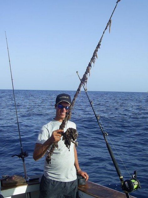 hooked up Cavalier & Blue Marlin Sport Fishing Gran Canaria