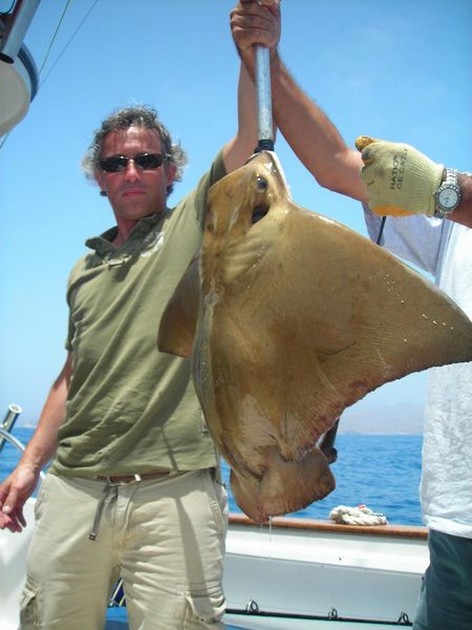 eagle ray Cavalier & Blue Marlin Sport Fishing Gran Canaria