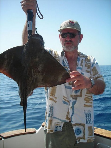 cownose ray Cavalier & Blue Marlin Sport Fishing Gran Canaria