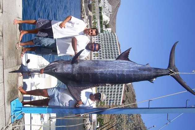 13/08 blue marlin Cavalier & Blue Marlin Sport Fishing Gran Canaria