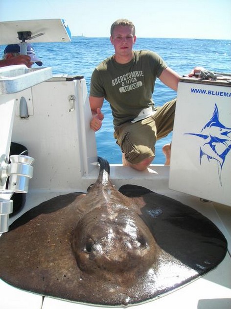 round stingray Cavalier & Blue Marlin Sport Fishing Gran Canaria