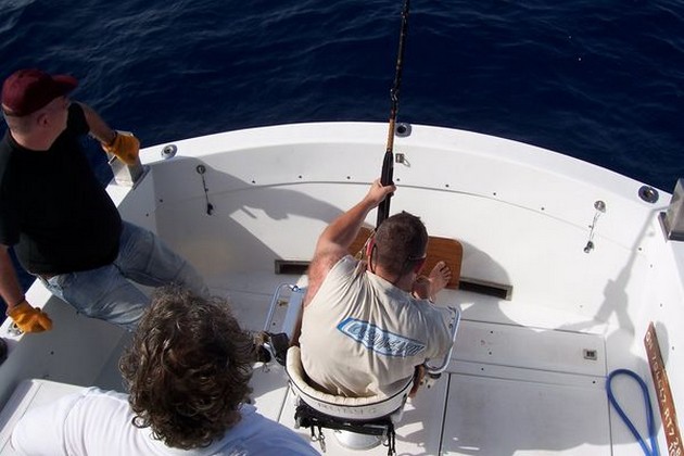 Puerto Rico - klockan 16.50 TOP BIG SPELRESULTAT Stopp Cavalier & Blue Marlin Sport Fishing Gran Canaria