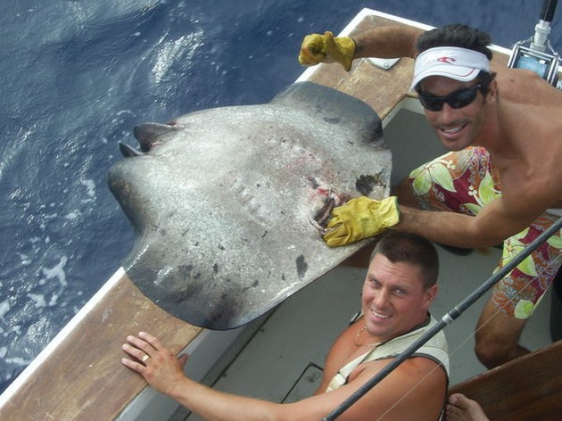 black stingray Cavalier & Blue Marlin Sport Fishing Gran Canaria