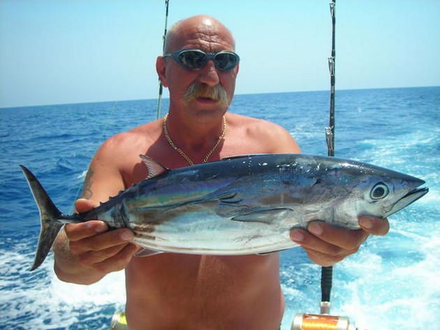 Puerto Rico - 16.40 uurSKIPJACK TUNADe boten Blue Marlin - Cavalier & Blue Marlin Sport Fishing Gran Canaria