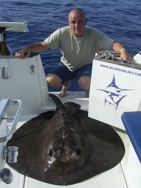 roughtail stingray Cavalier & Blue Marlin Sport Fishing Gran Canaria