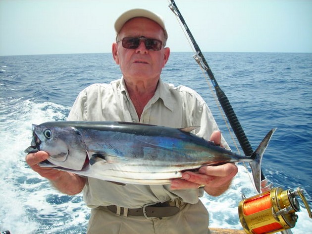 30/08 skipjack tuna Cavalier & Blue Marlin Sport Fishing Gran Canaria