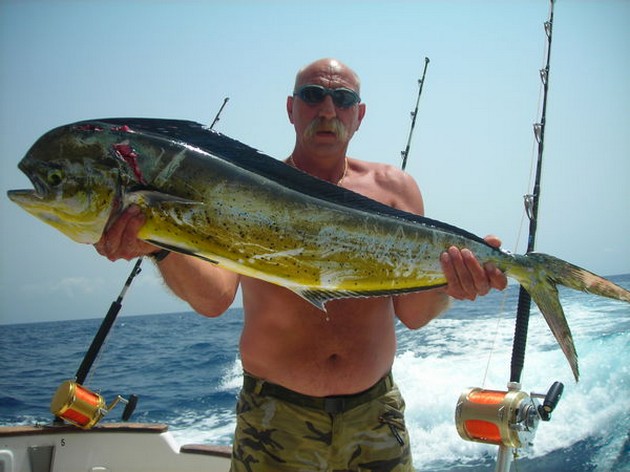 Puerto Rico - 18.00 horas 3 BARCOS - 6 AZUL MARLIN - Cavalier & Blue Marlin Sport Fishing Gran Canaria