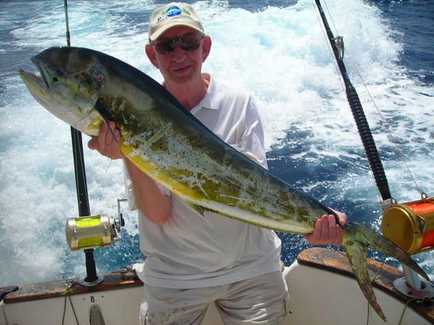 dorado Cavalier & Blue Marlin Sport Fishing Gran Canaria