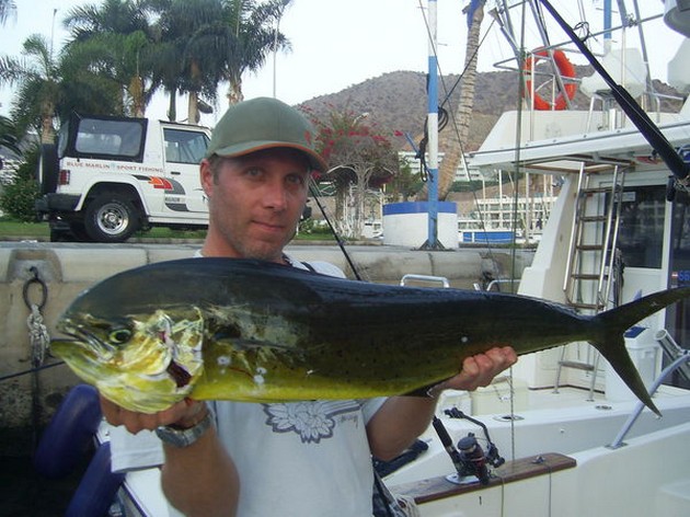 03/09 dorado Cavalier & Blue Marlin Sport Fishing Gran Canaria