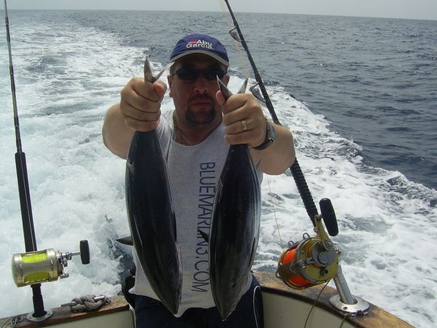 skipjack tuna Cavalier & Blue Marlin Sport Fishing Gran Canaria