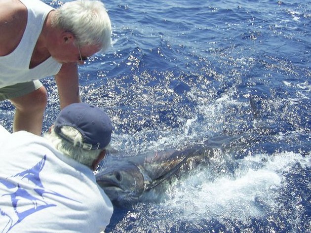 Puerto Rico - 6.00 pmHUP HOLLAND HUPIt was today a Cavalier & Blue Marlin Sport Fishing Gran Canaria