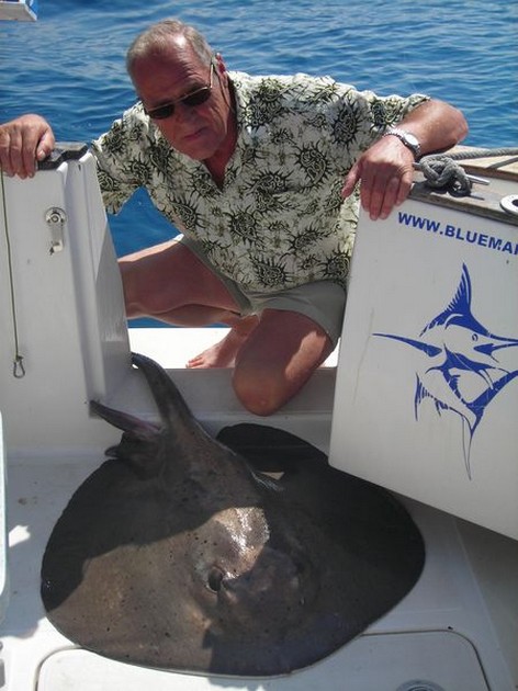 roughtail stingray Cavalier & Blue Marlin Sport Fishing Gran Canaria