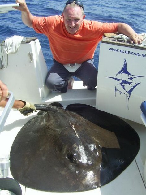 18/09 roughtail stingray Cavalier & Blue Marlin Sport Fishing Gran Canaria