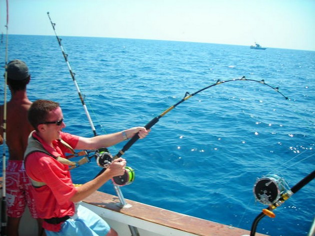 Puerto Rico - 11.00 de senaste nyheterna - Cavalier & Blue Marlin Sport Fishing Gran Canaria