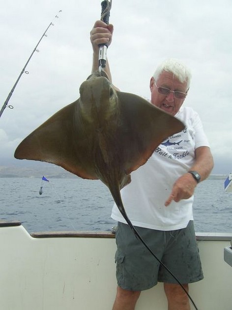 eagle ray Cavalier & Blue Marlin Sport Fishing Gran Canaria