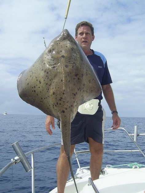 roughtail stingray Cavalier & Blue Marlin Sport Fishing Gran Canaria