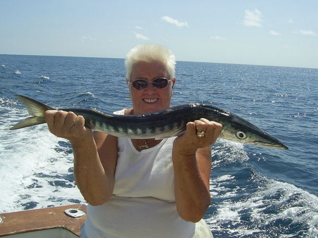 baracuda Cavalier & Blue Marlin Sport Fishing Gran Canaria
