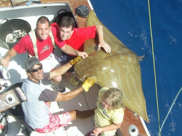 29/09 duckbillray Cavalier & Blue Marlin Sport Fishing Gran Canaria