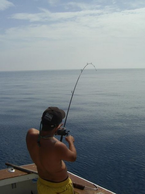 light tackle Cavalier & Blue Marlin Sport Fishing Gran Canaria