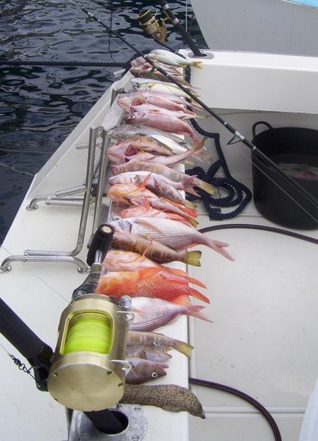 nice catch Cavalier & Blue Marlin Sport Fishing Gran Canaria