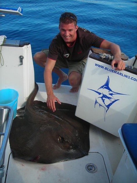 common stingray Cavalier & Blue Marlin Sport Fishing Gran Canaria