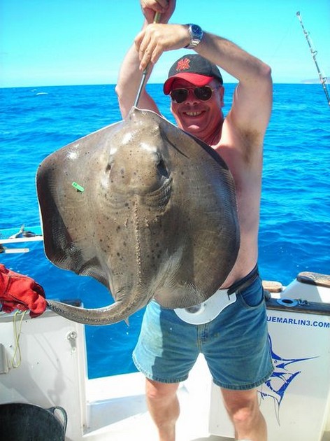 roughtail stingray Cavalier & Blue Marlin Sport Fishing Gran Canaria