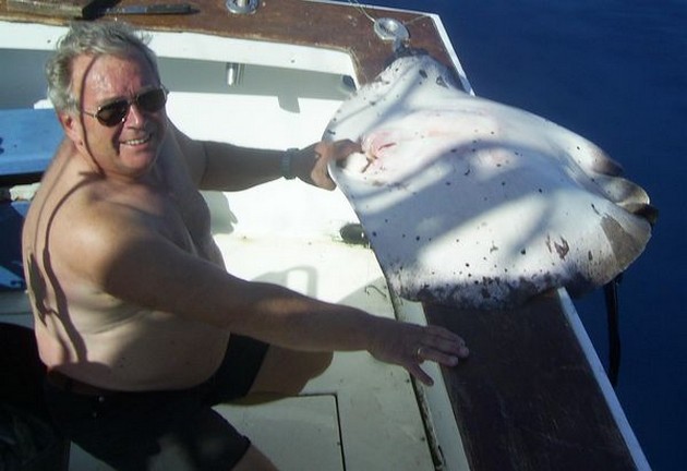 roughtail stingray Cavalier & Blue Marlin Sport Fishing Gran Canaria