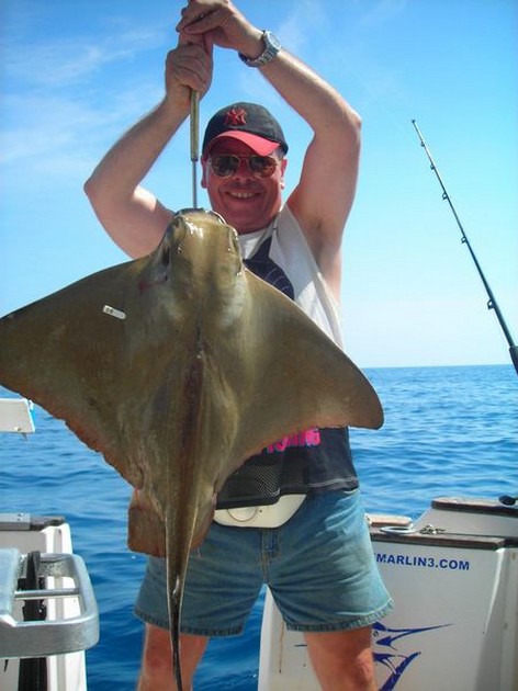 eagle ray Cavalier & Blue Marlin Sport Fishing Gran Canaria