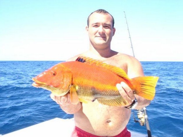 Puerto Rico - 13/10 9.30 uurBERRUGATOTill idag, jag Cavalier & Blue Marlin Sport Fishing Gran Canaria