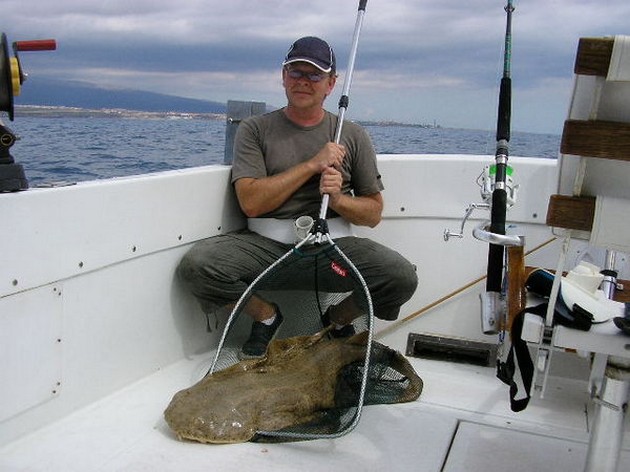 angelshark Cavalier & Blue Marlin Sport Fishing Gran Canaria