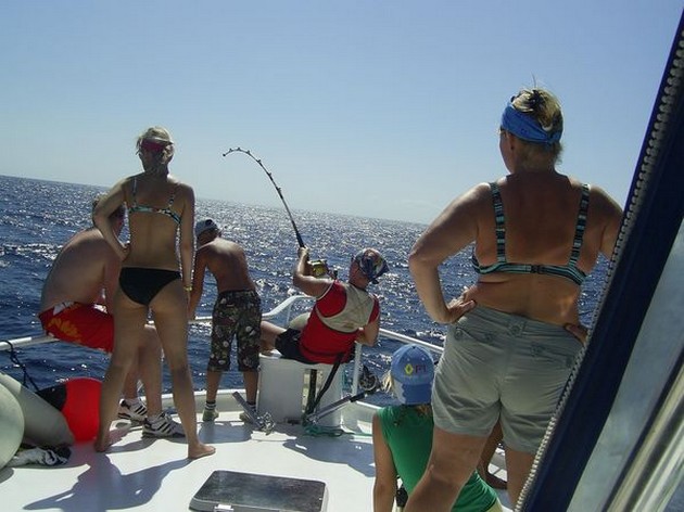  - Cavalier & Blue Marlin Sport Fishing Gran Canaria