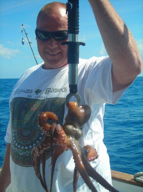 octopus Cavalier & Blue Marlin Sport Fishing Gran Canaria