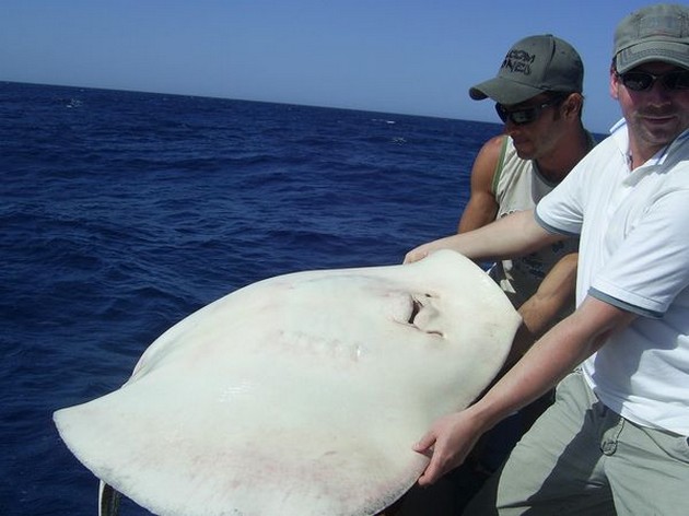  - Cavalier & Blue Marlin Sport Fishing Gran Canaria