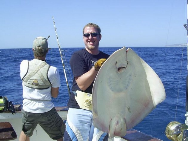 common stingray Cavalier & Blue Marlin Sport Fishing Gran Canaria