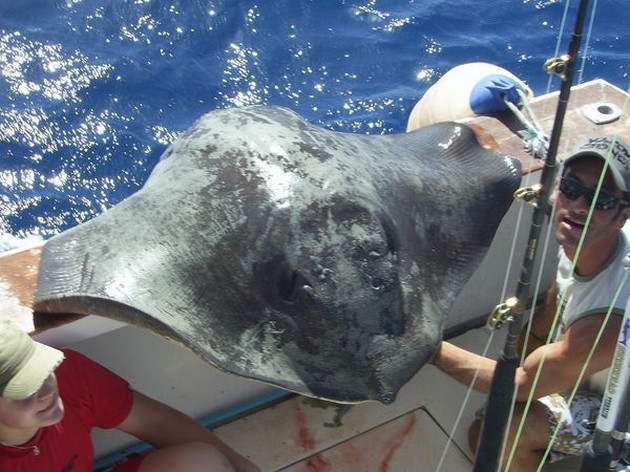 22/10 common stingray Cavalier & Blue Marlin Sport Fishing Gran Canaria