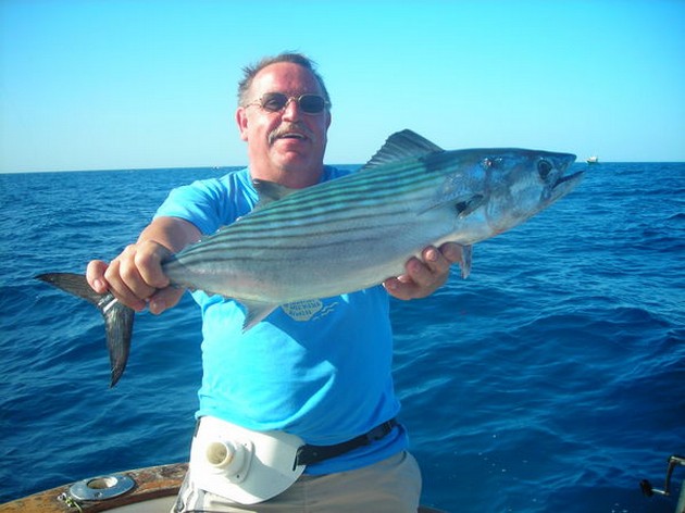 north atlantic bonito Cavalier & Blue Marlin Sport Fishing Gran Canaria