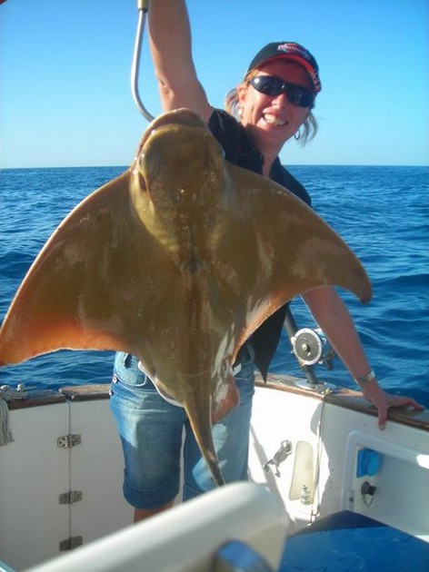 eagle ray Cavalier & Blue Marlin Sport Fishing Gran Canaria