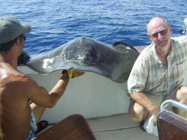 Puerto Rico 24 de octubre 7.00 pm SUPER GARFISH Donde se - Cavalier & Blue Marlin Sport Fishing Gran Canaria