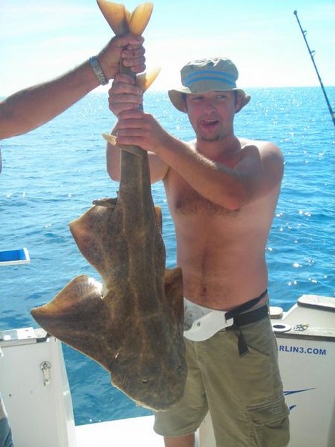 24/10 angelshark Cavalier & Blue Marlin Sport Fishing Gran Canaria