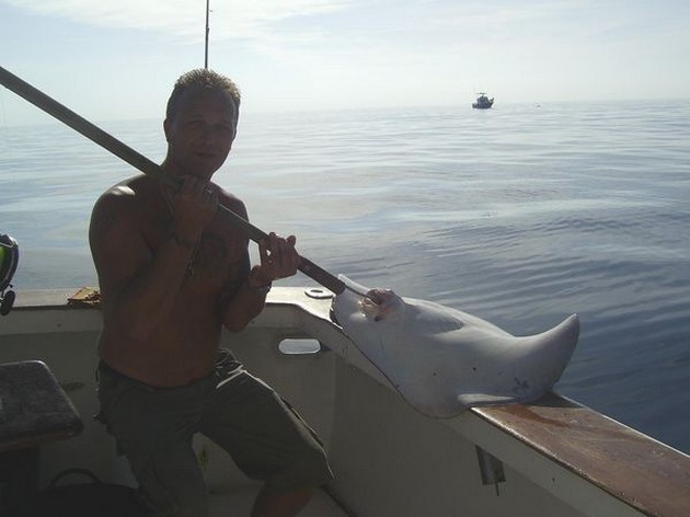 common stingray Cavalier & Blue Marlin Sport Fishing Gran Canaria