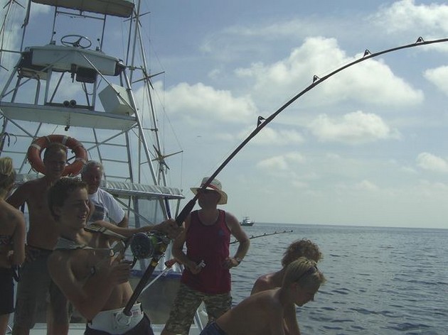 hooked up Cavalier & Blue Marlin Sport Fishing Gran Canaria