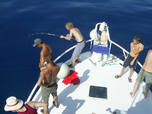 Puerto Rico 25 October 19.00 uurHEEL VEEL ROGGENDe Cavalier & Blue Marlin Sport Fishing Gran Canaria