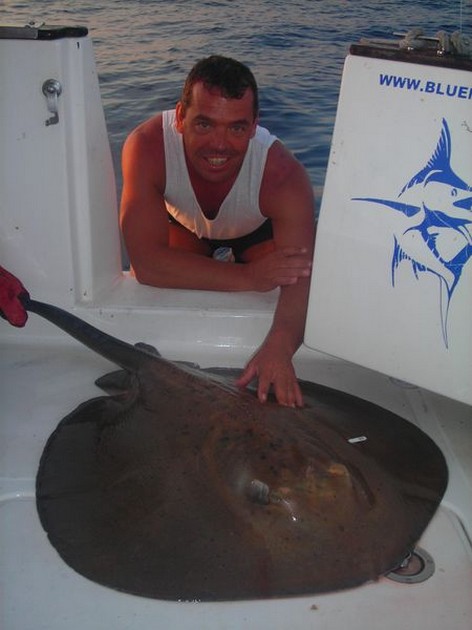 round stingray Cavalier & Blue Marlin Sport Fishing Gran Canaria