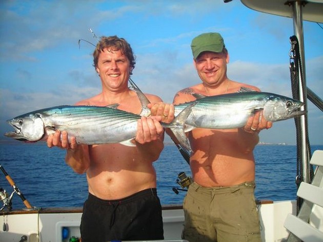 atlantic bonitos Cavalier & Blue Marlin Sport Fishing Gran Canaria