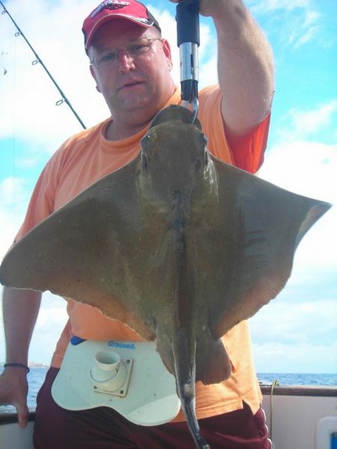 eagle ray Cavalier & Blue Marlin Sport Fishing Gran Canaria